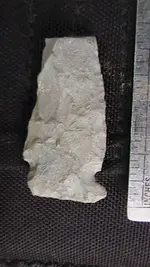 finds at exposed site 072.webp