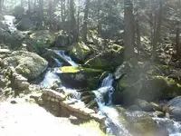 Picture 021.webp