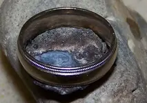 5ring.webp