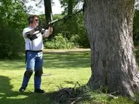 tree hunter.webp