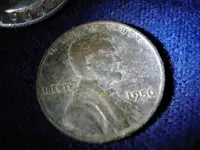 SSCA0134000.webp