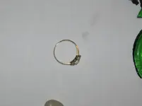 1st Gold Ring 009 - Copy (800x599).webp