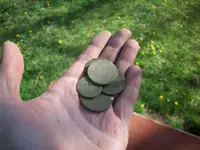 5coppers.webp