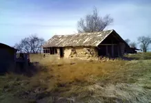 homestead4.webp