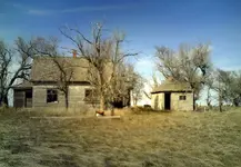 homestead1.webp