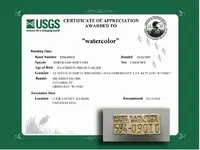 USGS-band.webp