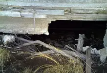 homestead10.webp