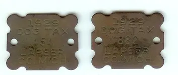 dogtaxtags1929.webp