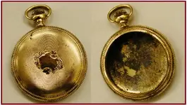 gold watch.webp