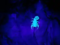 black light 004.webp