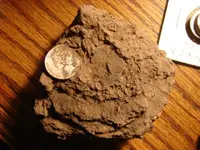 finds 4-27-10.webp