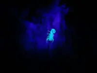 black light 005.webp