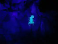 black light 003.webp