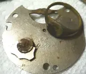 3-24 ring.webp