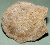 ROCKS 004.webp