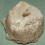 ROCKS 008.webp