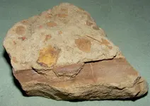 ROCKS 009.webp