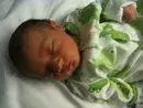 kayden3.webp