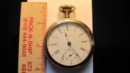 Pocketwatch Length.webp