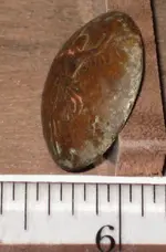 unknown button sideview.webp