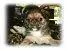 avatar_24616.webp