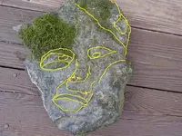 face.webp