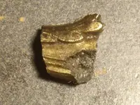 whatisit1.webp