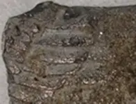 hd object detail 2.webp