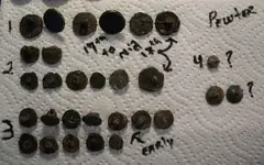 DSCN0529.webp