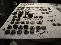 DSCN0530.webp
