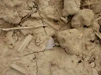 flint4.webp