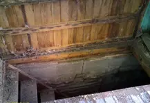 homestead13.webp