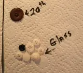 DSCN0535.webp
