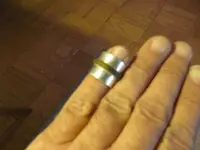 ring handsml.webp