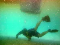 JWI12.webp