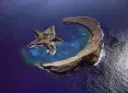 avatar_33005.webp