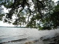 DSCN0988.webp
