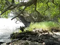 DSCN0991.webp