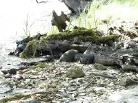 DSCN0993.webp