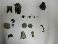 DSCN0995.webp