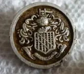 3-17 button.webp