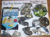 Finds Galveston 5-15-10 AM Hunt 002.webp