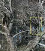 ghost_4.webp