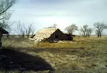 homestead8ex.webp