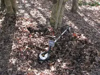Site29a.webp