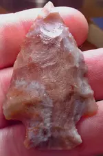 my fossils 208.webp