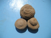 rocks 1 (Medium).GIF
