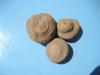rocks 2 (Medium).GIF