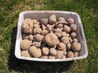 rocks 3 (Medium).GIF