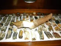 DSCN0603[1].webp